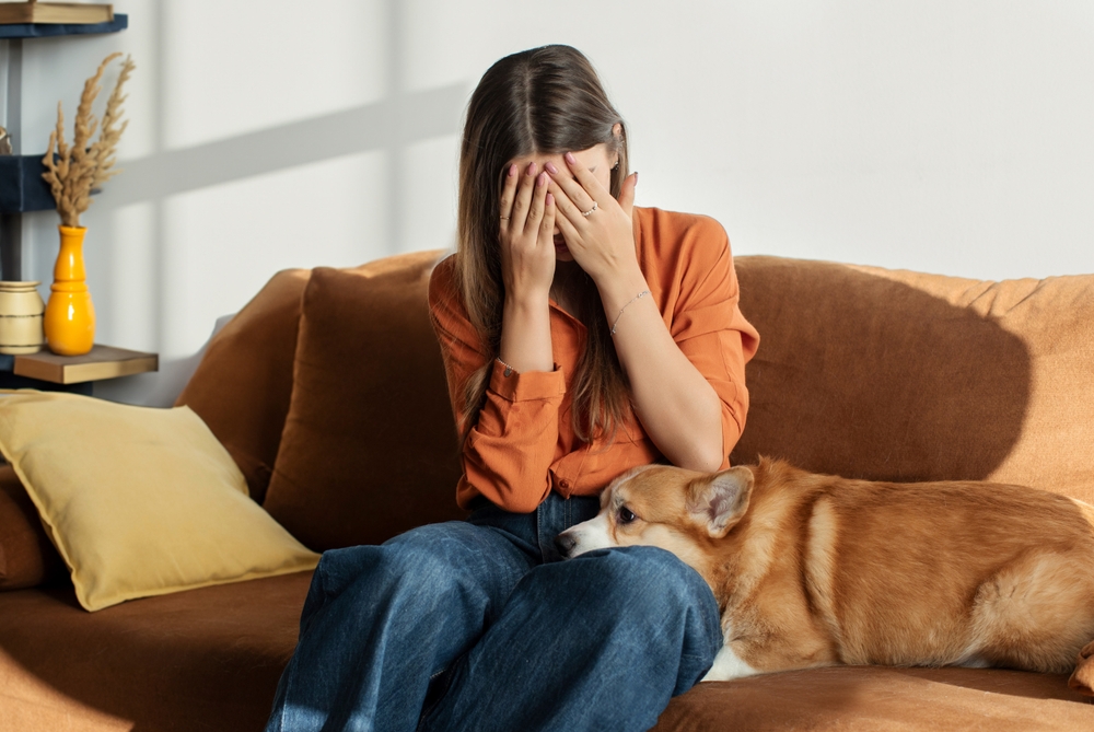 Mediación para custodia de mascotas